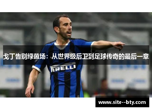 戈丁告别绿茵场：从世界级后卫到足球传奇的最后一章